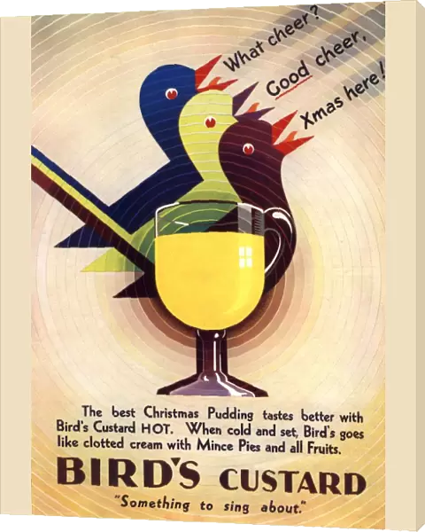 Birds Custard 1931 1930s UK