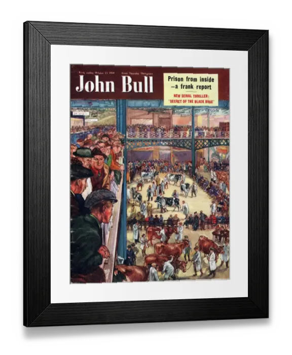 Framed Print : John Bull 1950 1950s UK smithfield cattle markets farmers cows show magazines farming Framed Print : John Bull 1950 1950s UK smithfield cattle markets farmers cows show magazines farming
