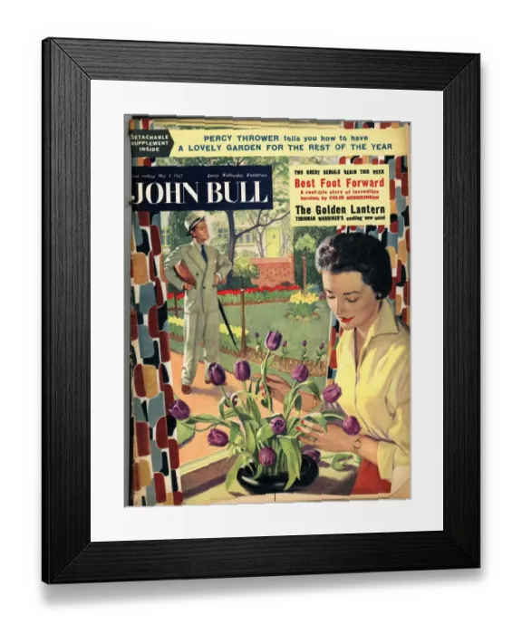 Framed Print : John Bull 1954 1950s UK flowers arranging magazines Framed Print : John Bull 1954 1950s UK flowers arranging magazines