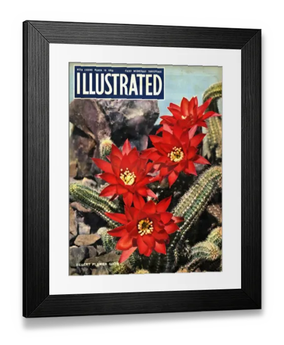 Framed Print : 1950s UK Illustrated Magazine Cover Framed Print : 1950s UK Illustrated Magazine Cover