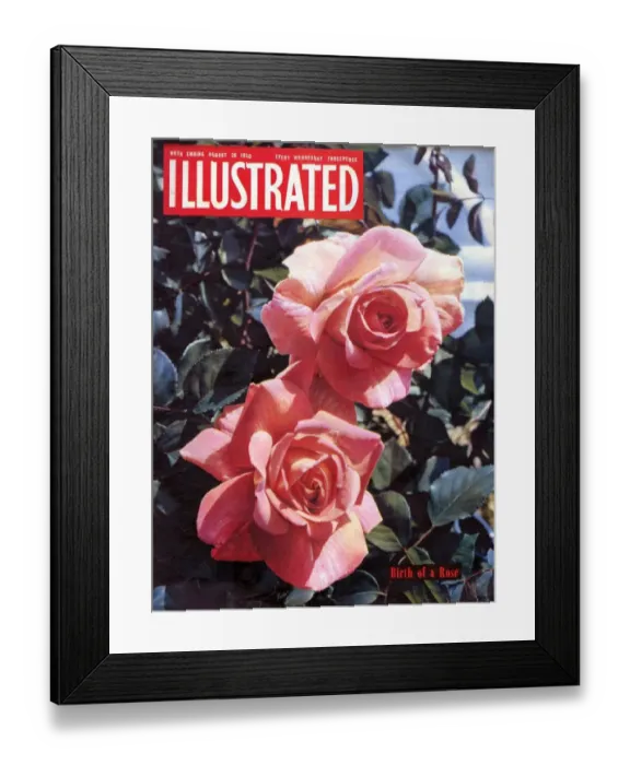 Framed Print : 1950s UK Illustrated Magazine Cover Framed Print : 1950s UK Illustrated Magazine Cover