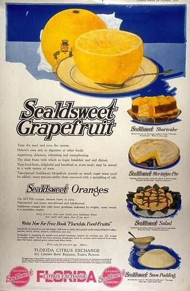 1910s USA grapefruit florida fruit