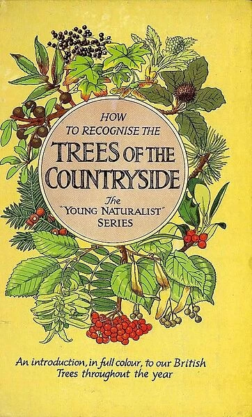 1950s, UK, Trees of the Countryside, Book Cover