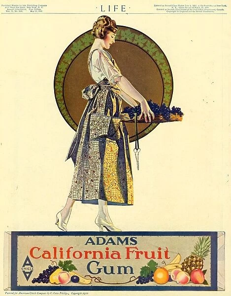 Adams California Fruit Gum 1920s USA chewing gum sweets Coles Phillips