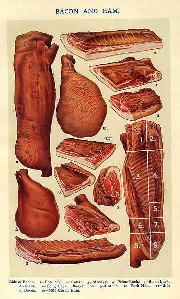 Bacon and Ham 1900s UK Isabella Beeton meat Mrs BeetonAs Book of Household Management