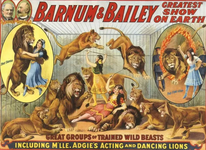 Framed Print : Barnum & Baileys 1915 1910s USA performers Dancing Lions Baileys lion tamers women Framed Print : Barnum & Baileys 1915 1910s USA performers Dancing Lions Baileys lion tamers women