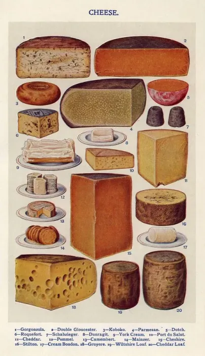 Framed Print : Cheese 1900s UK Isabella Beeton Mrs Beetons Book of Household Management cooking Framed Print : Cheese 1900s UK Isabella Beeton Mrs Beetons Book of Household Management cooking