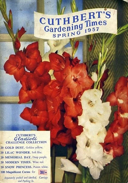CuthbertAs Gardening Times 1957 1950s UK Mr Cuthberts flowers seeds packets gardens