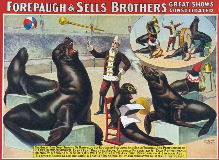 Framed Print : Forepaugh & Sella Brothers 1900s seals performing entertainers bros Framed Print : Forepaugh & Sella Brothers 1900s seals performing entertainers bros