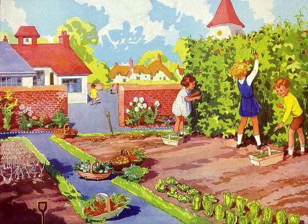Infant School Illustrations 1950s UK gardens vegetables patches Enid Blyton