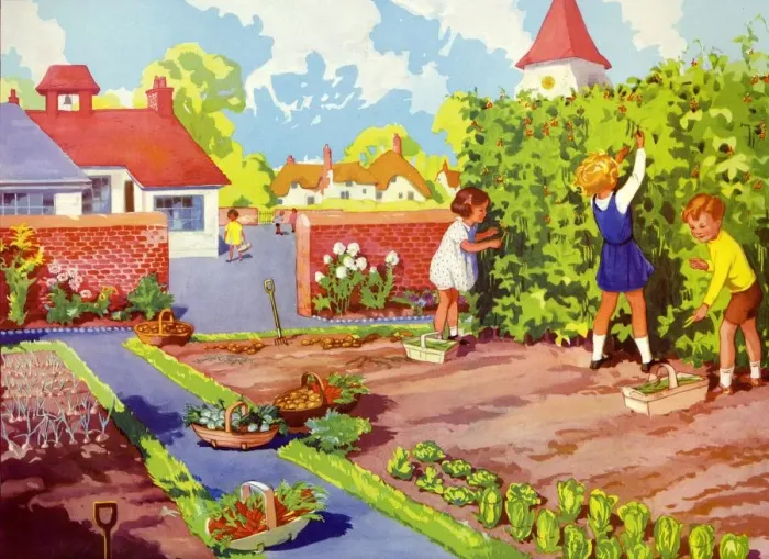 Framed Print : Infant School Illustrations 1950s UK gardens vegetables patches Enid Blyton Framed Print : Infant School Illustrations 1950s UK gardens vegetables patches Enid Blyton