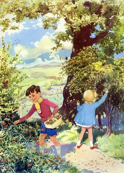 Infant School Illustrations 1950s UK picking berries fruit Enid Blyton gardens