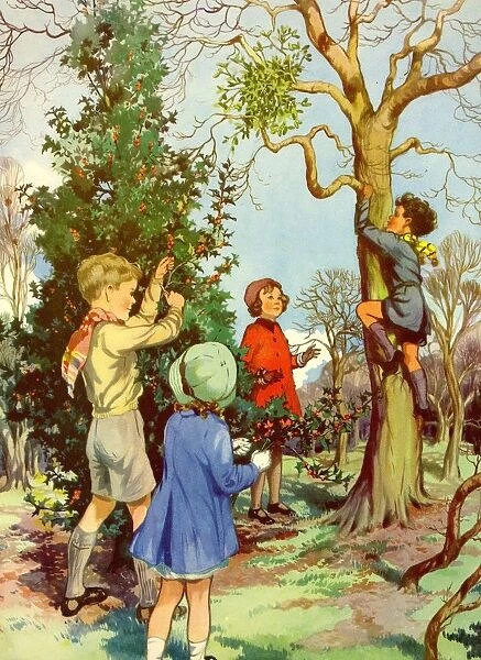 Infant School Illustrations 1950s UK playing picking berries climbing trees Enid Blyton