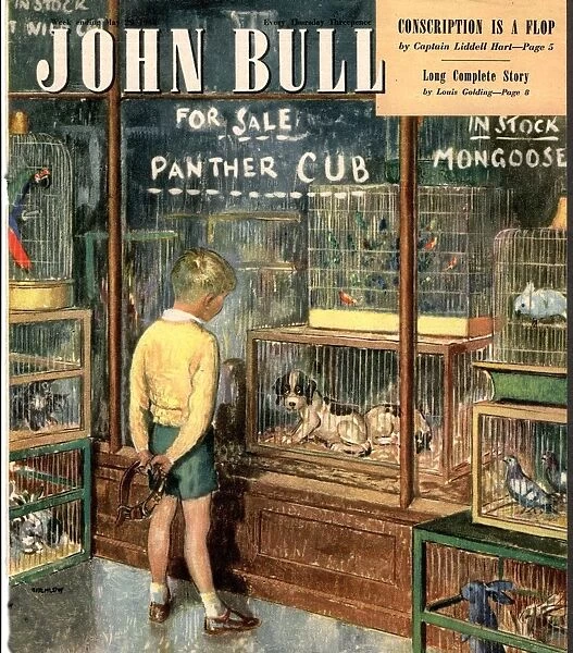 John Bull 1948 1940s UK dogs pet shops pets magazines