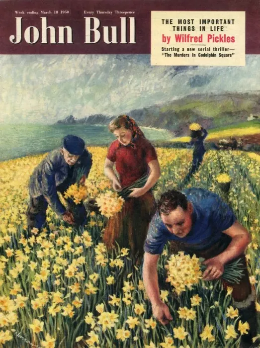 Framed Print : John Bull 1950 1950s UK picking harvesting flowers magazines horticulture