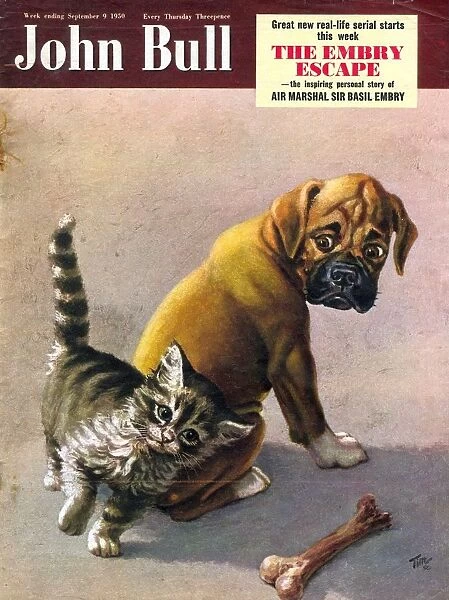 John Bull 1950s UK cats dogs bones magazines pets