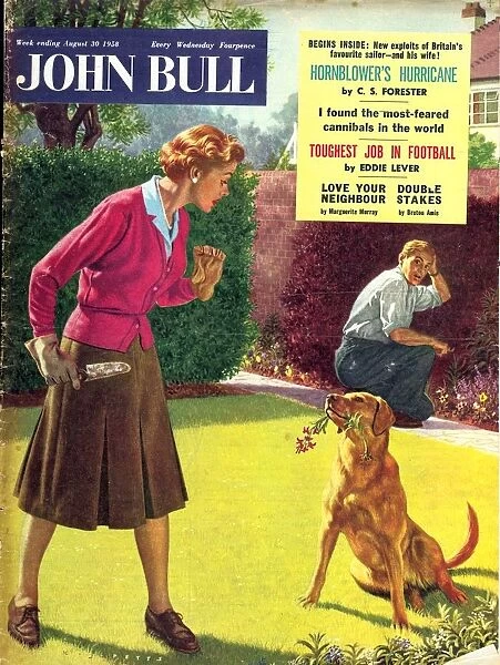 John Bull 1950s UK dogs disasters magazines pets horticulture