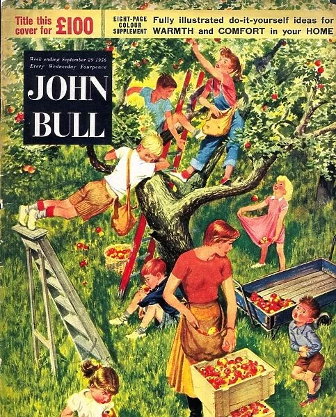 John Bull 1950s UK picking apples fruit magazines