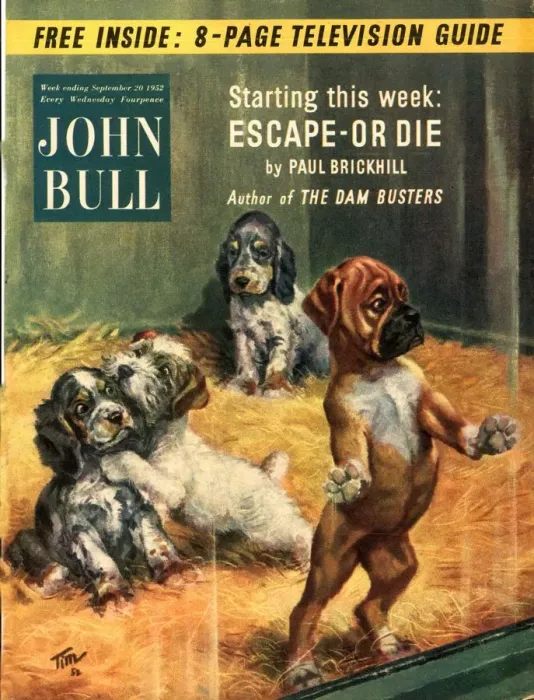 Framed Print : John Bull 1952 1950s UK dogs pet shops pets magazines