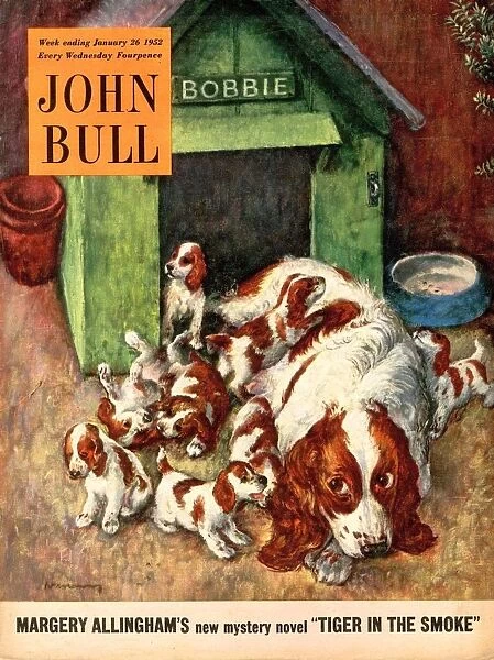 John Bull 1952 1950s UK dogs puppies pets magazines puppyAs