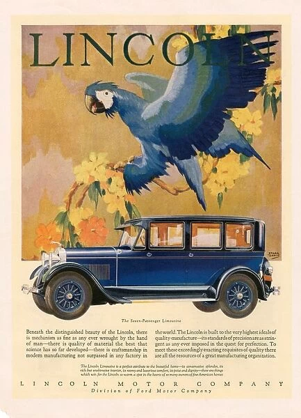 Lincoln 1928 1920s USA cc cars parrots birds