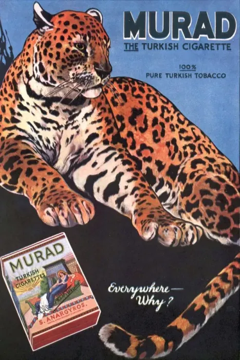 Framed Print : Murad 1910s USA cigarettes smoking leopards turkish Framed Print : Murad 1910s USA cigarettes smoking leopards turkish