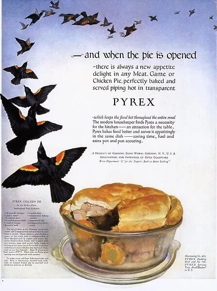 Pyrex 1920s USA pies four and twenty blackbirds