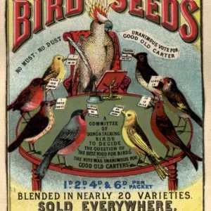 1890s UK carters bird seed birds poetry