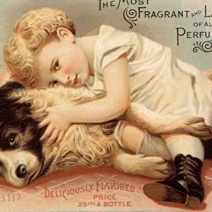 1890s USA babies hoytes cologne dogs womens baby