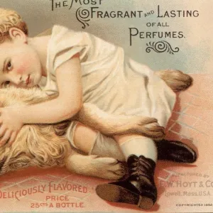 1890s USA babies hoytes cologne dogs womens baby