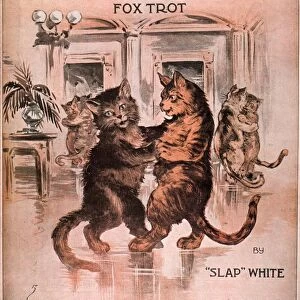 1920s USA cats pussyfoot fox trot