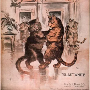 1920s USA cats pussyfoot fox trot