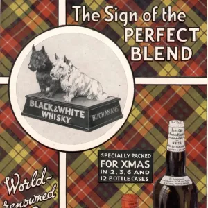 1930s UK black and white whiskey whisky dogs