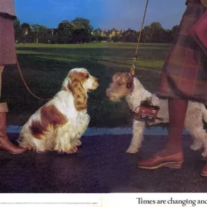 1980s UK K Shoes Magazine Advert