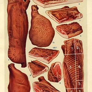 Bacon and Ham 1900s UK Isabella Beeton meat Mrs Beetons Book of Household Management