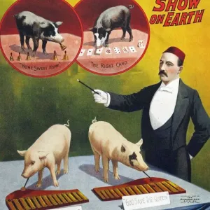 Barnum & Bailey 1900s slogans greatest show on earth performing pigs entertainers baileys