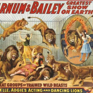 Barnum & Baileys 1915 1910s USA performers Dancing Lions Baileys lion tamers women