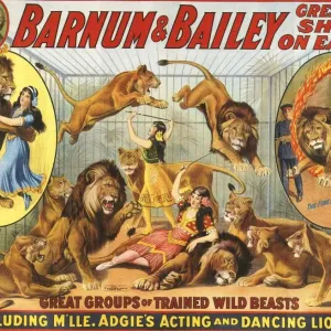 Barnum & Bailey's 1915 Print of Dancing Lions Barnum & Bailey's 1915 Print of Dancing Lions