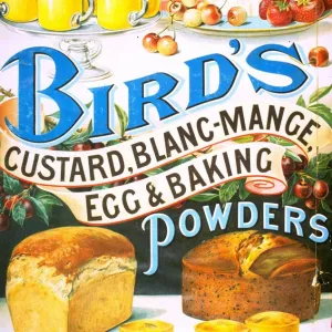 Birds 1920s UK custard blancmange