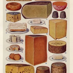 1900s UK Cheese Print from Mrs Beeton's Book of Household Management 1900s UK Cheese Print from Mrs Beeton's Book of Household Management