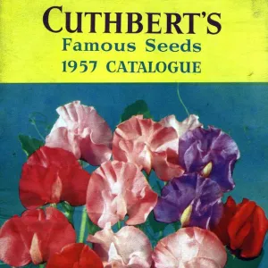 Cuthberts 1957 1950s UK flowers seeds Mr Cuthberts packets gardens