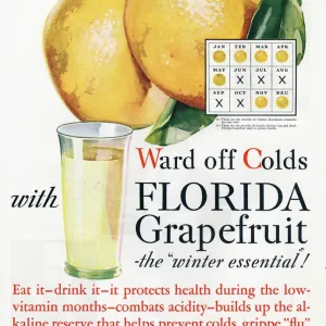 Florida Grapefruit 1920s USA colds flu fruit