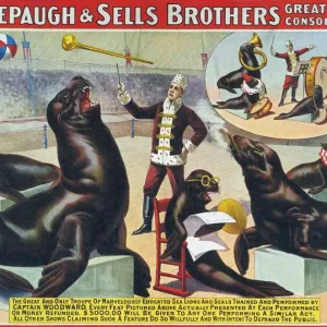 Forepaugh & Sella Brothers 1900s seals performing entertainers bros