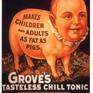 Groves 1890s USA humour groves tonic pigs fat diets Groves 1890s USA humour groves tonic pigs fat diets