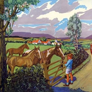 Infant School Illustrations 1950s UK horses carts Enid Blyton