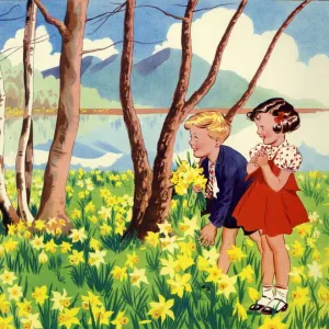 Infant School Illustrations 1950s UK picking flowers Spring seasons daffodils Enid Blyton