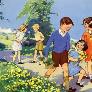 Infant School Illustrations 1950s UK picking flowers Enid Blyton