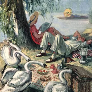 John Bull 1946 1940s UK picnics birds swans magazines