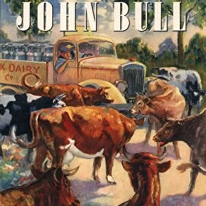 John Bull 1947 1940s UK farms farming farmers milk cows magazines