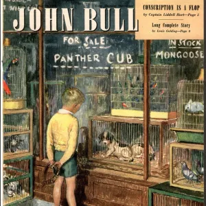 John Bull 1948 1940s UK dogs pet shops pets magazines